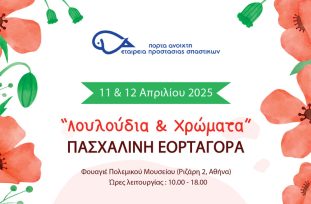 course-img-3969